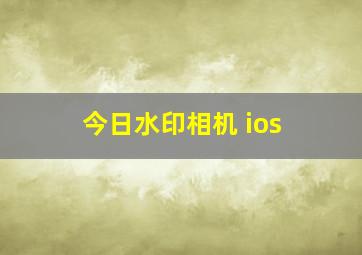 今日水印相机 ios